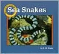 Sea Snakes