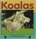 Koalas