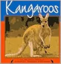 Kangaroos