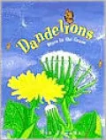 Dandelions: Stars in the Grass