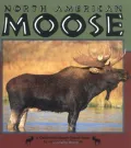 North American Moose