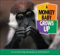 Monkey Baby Grows Up