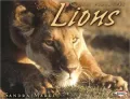 Lions (Animal Predators Series)