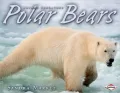 Polar Bears (Animal Predators Series)