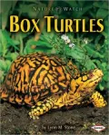 Box Turtles
