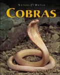 Cobras