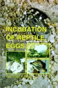 Incubation of Reptile Eggs