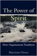 Power of Spirit: How Organizations Transform