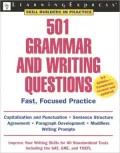 501 Grammar and Writing Questions