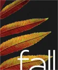 Fall : Photographs