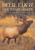 Deer, Elk, and Mountain Goats