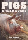 Pigs and Wild Boar