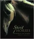 Spirit Horses