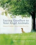 Saying Goodbye to Your Angel Animals: Finding Comfort after Losing Your Pet