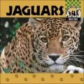 Jaguars