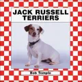Jack Russell Terriers
