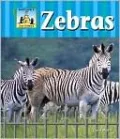 Zebras