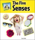 The Five Senses