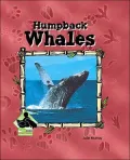 Humpback Whales