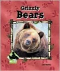 Grizzly Bears
