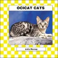Ocicat Cats