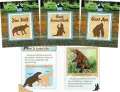 Prehistoric Animals