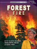Forest Fire