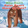 Why Don't Polar Bears Have Stripes?