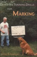 Retriever Training Drills for Marking