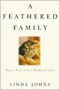 A Feathered Family: Nature Notes from a Woodland Studio