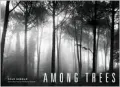 Among Trees