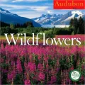 2011 Wildflowers Wall Calendar