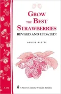 Grow the Best Strawberries