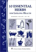 10 Essential Herbs for Lifelong Health