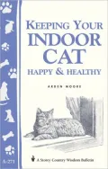 Keeping Your Indoor Cat Happy and Healthy