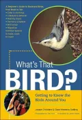 What's That Bird?
