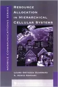 Resource Allocation in Hierarchical Cellular Systems