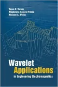 Wavelet Applications in Engineering Electromagnetics