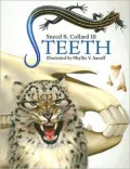 Teeth
