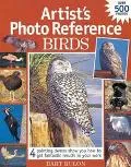 Artists Photo Reference Birds