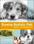 Drawing Realistic Pets from Photographs
