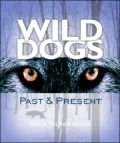 Wild Dogs: Past and Present