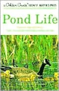 Pond Life: Revised and Updated