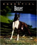 The Essential Boxer