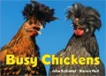 Busy Chickens