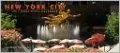 2011 New York City Cool Sites Wall Calendar