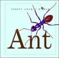 Ant