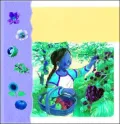 Plants and Flowers