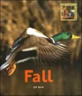 Fall