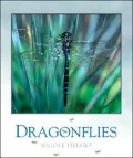 Dragonflies
